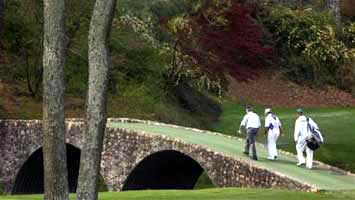 The Masters